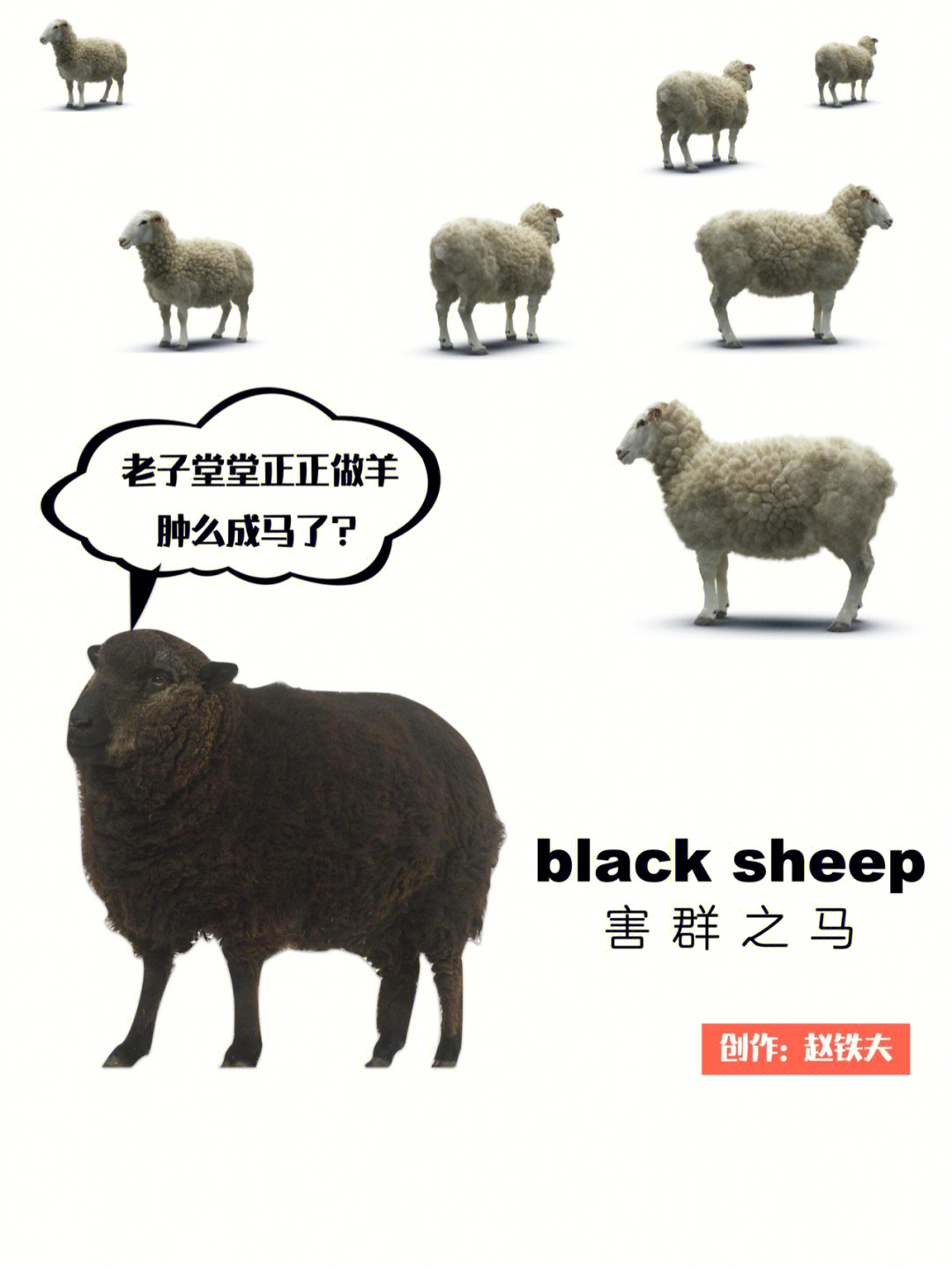 sheep羊崽对象图片