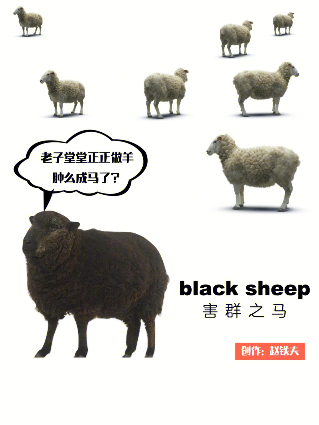 theblacksheep图片