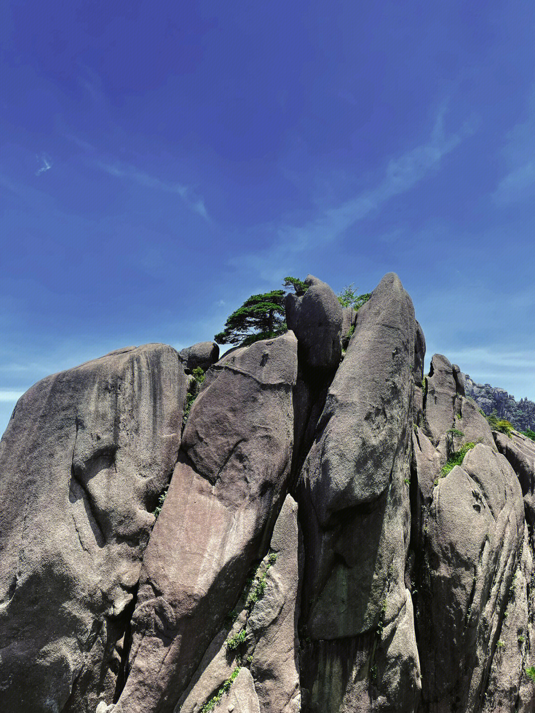 黄山奇石的风景介绍图片