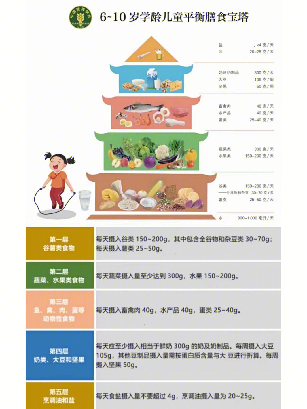 中小学生膳食宝塔图片