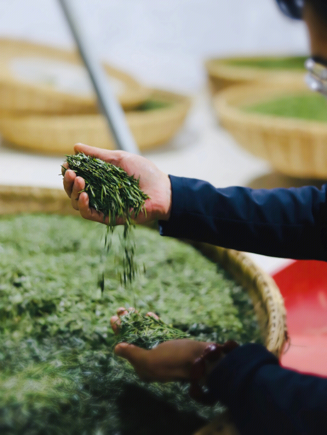 湄潭翠芽贵州三大名茶之一