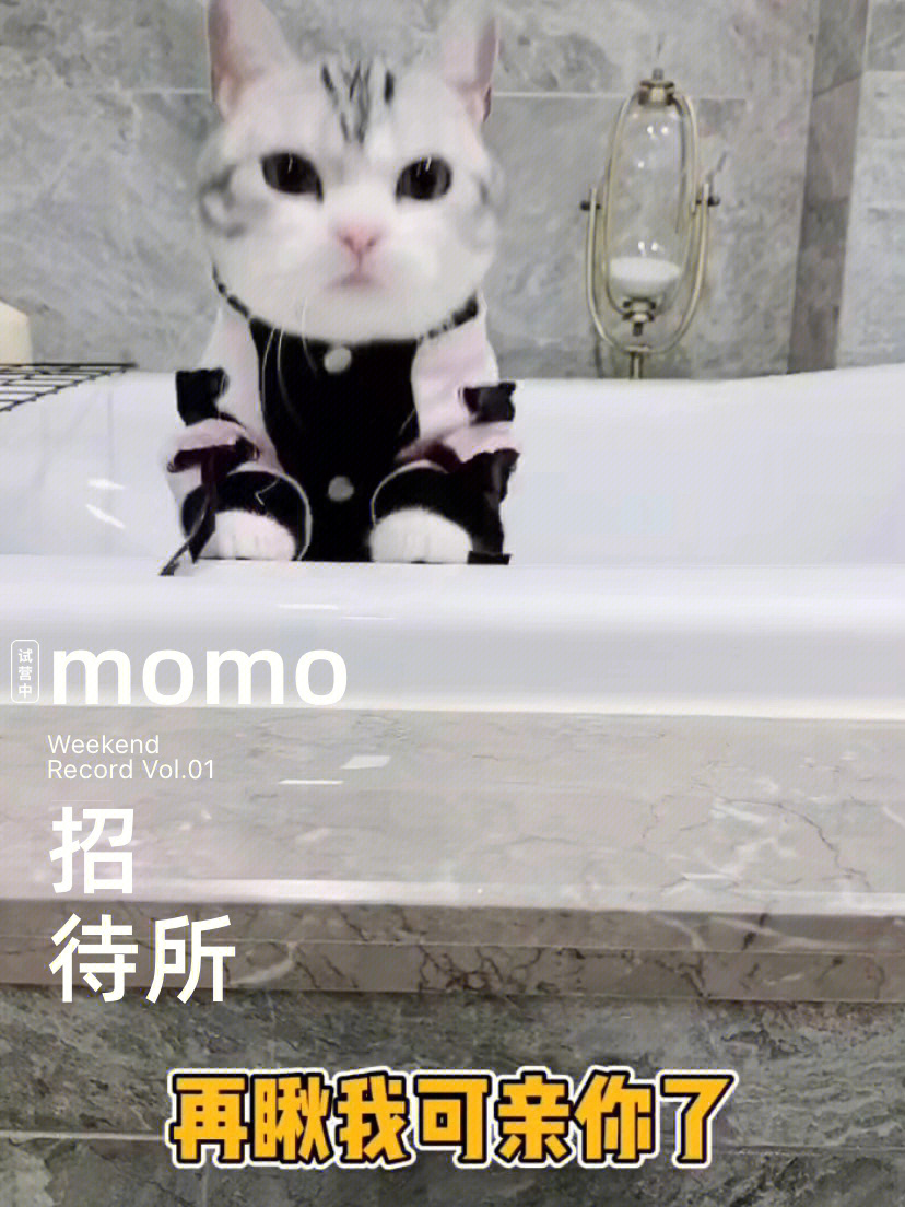 老花momo太爱了