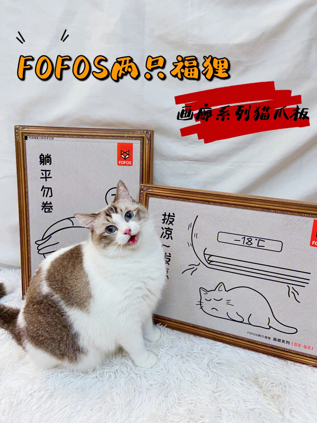 是玩具也是装饰画的猫抓板