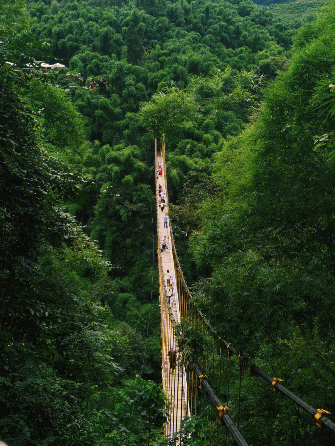 西山竹海图片