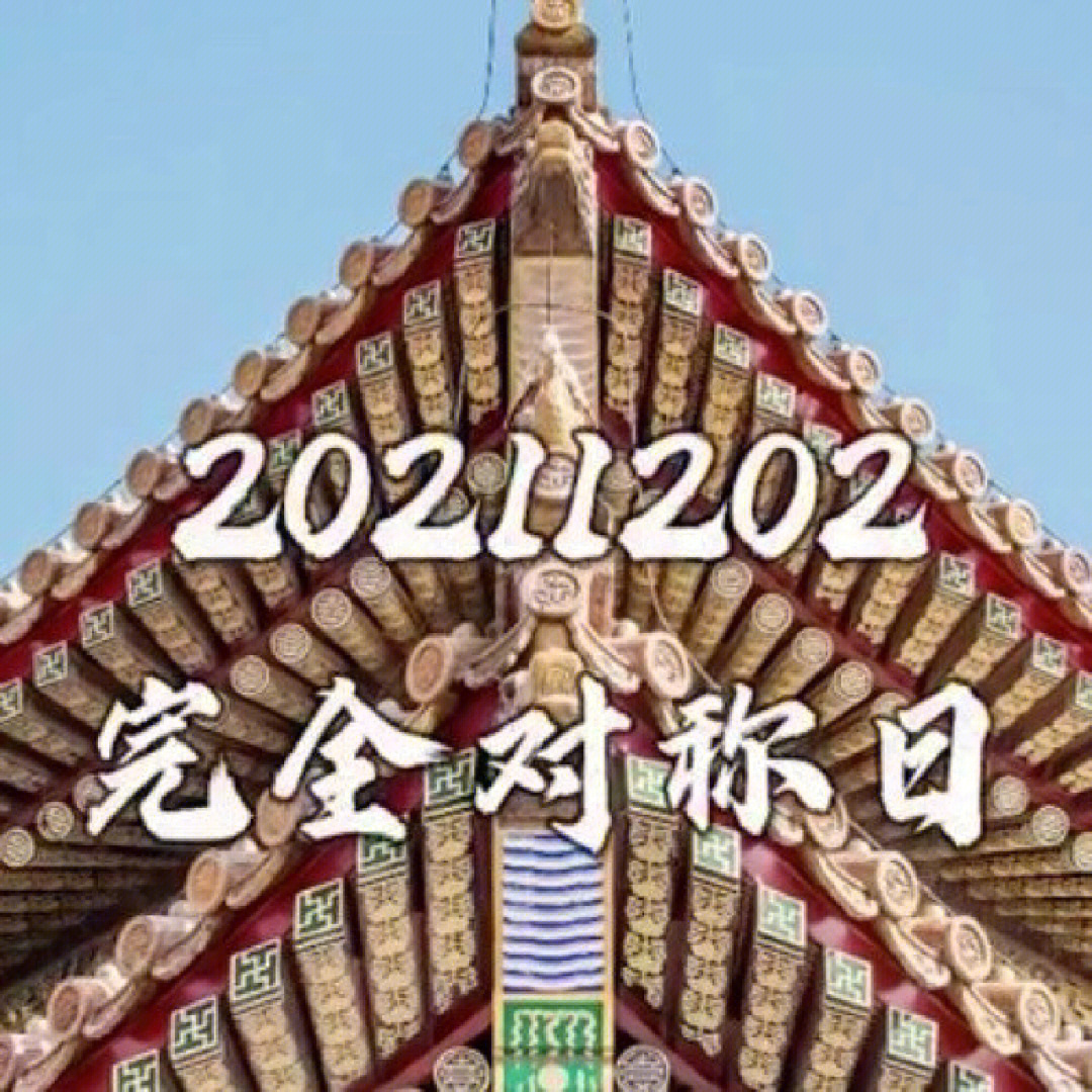 20200202对称日图片图片