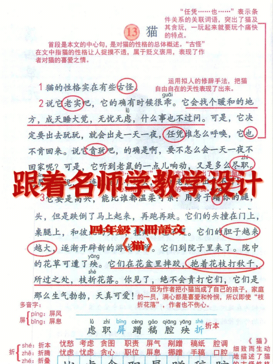 窦桂梅猫教学实录图片