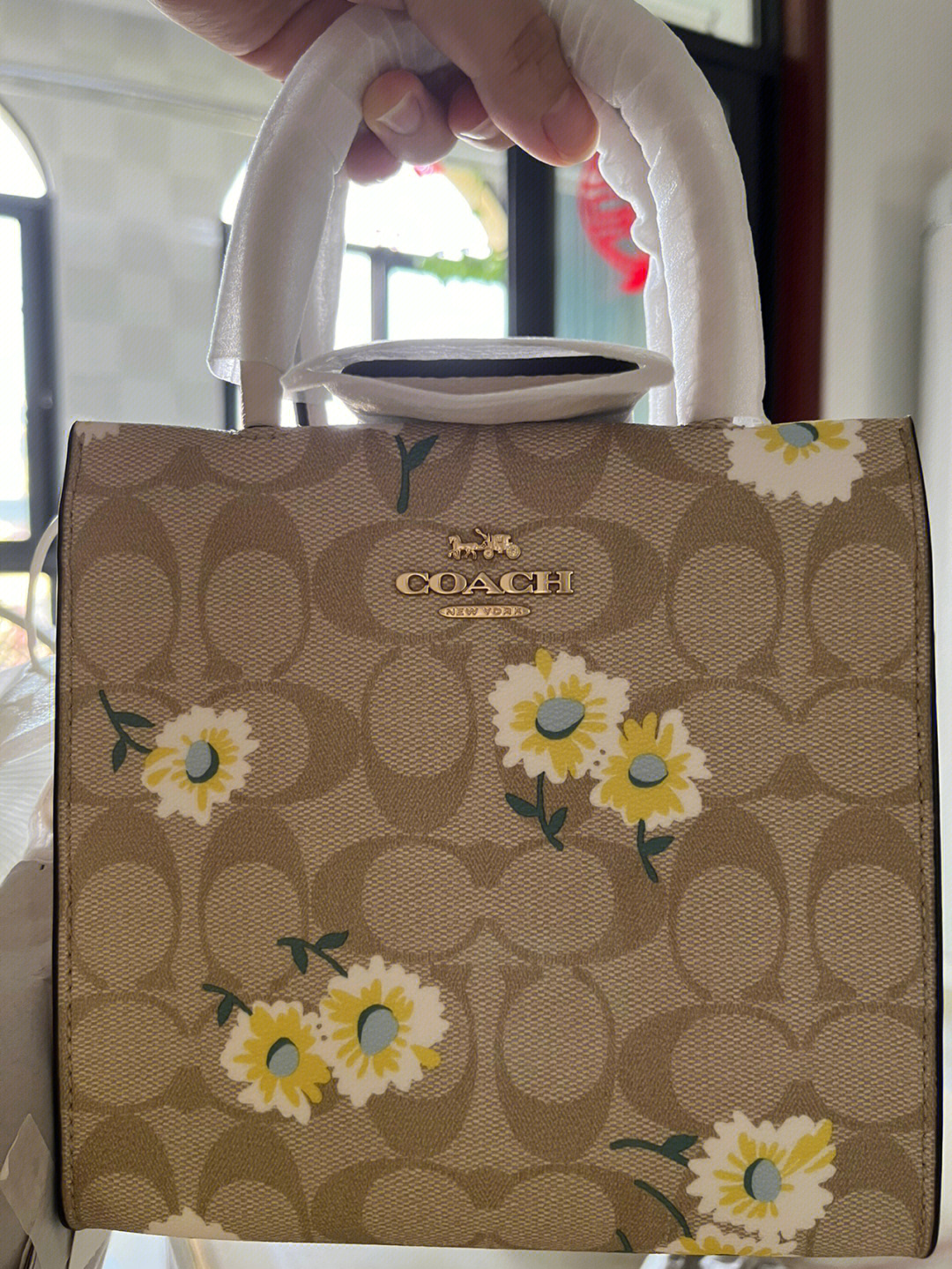 coach4月新品小雏菊图片