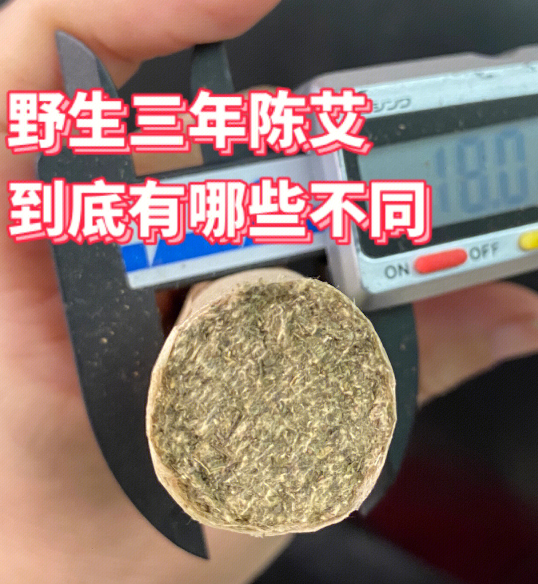 陈艾图片 辨识图片