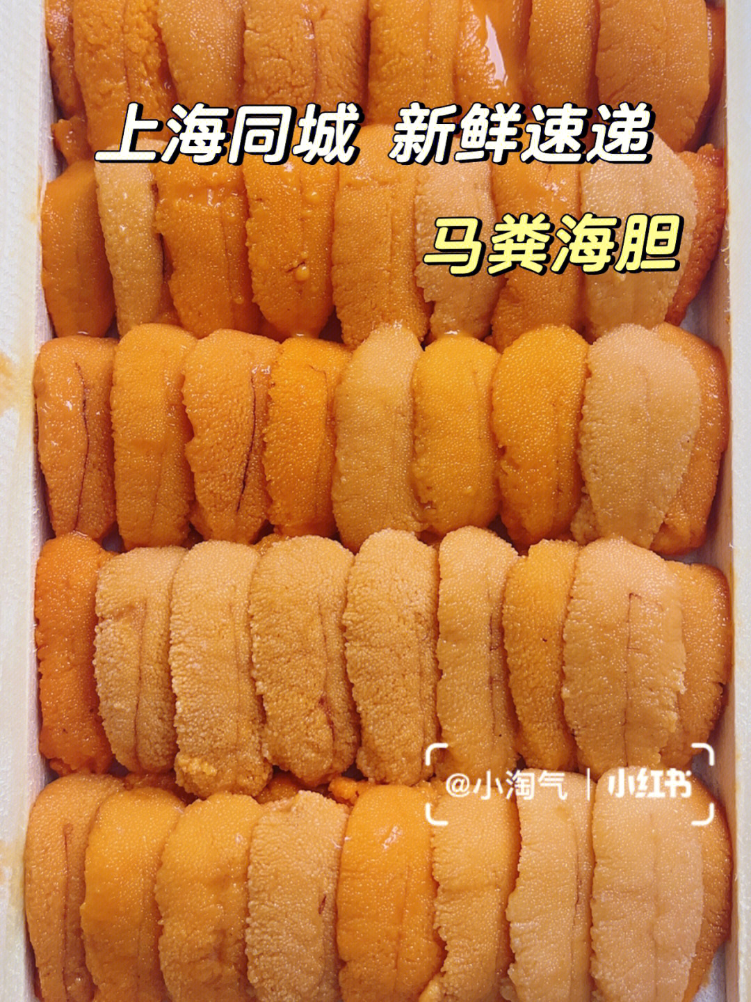 上海外卖马粪海胆季太鲜甜了快来品尝吧
