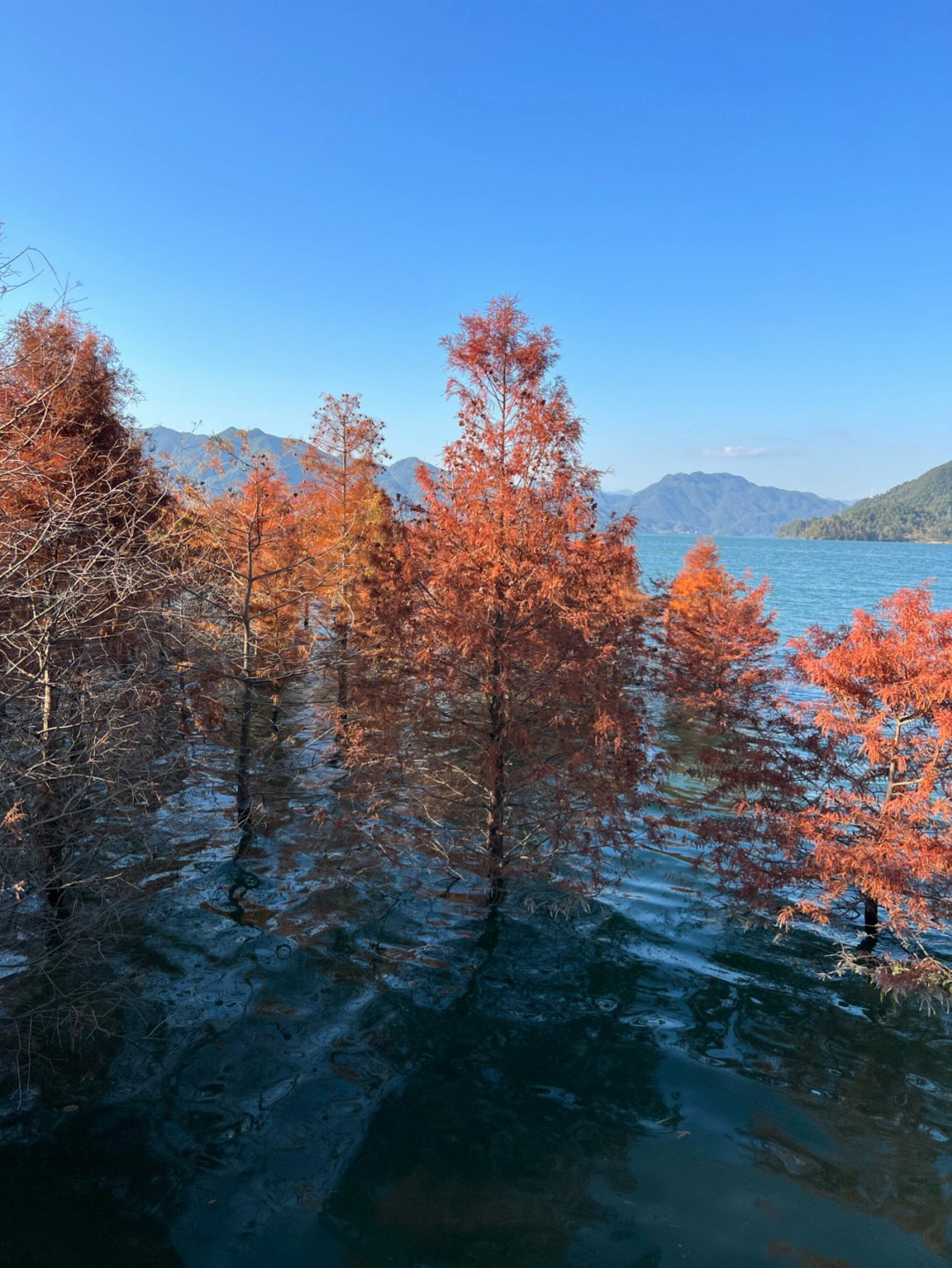 黄岩网红景点排行榜图片