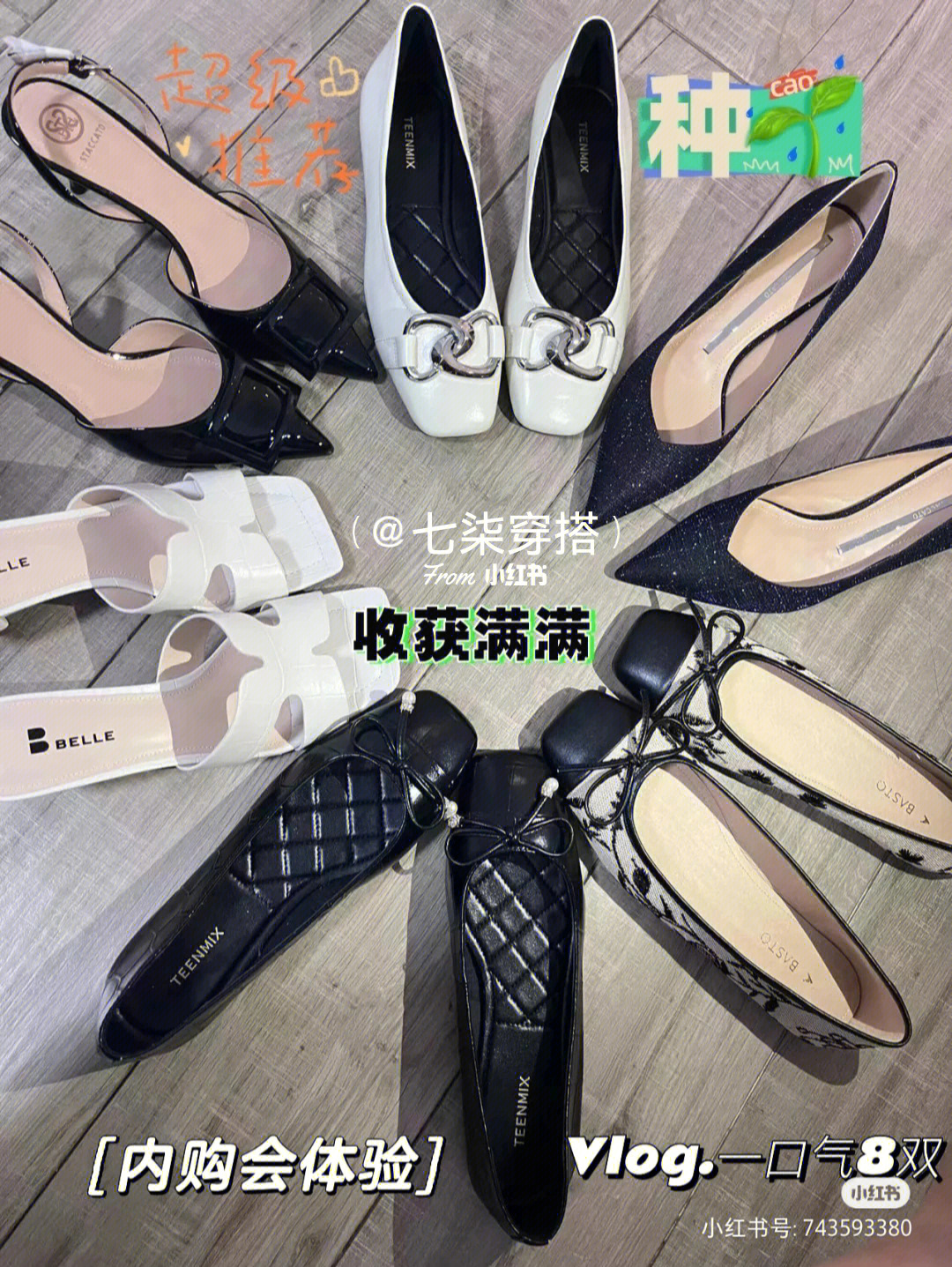 思加图丨我的战利品