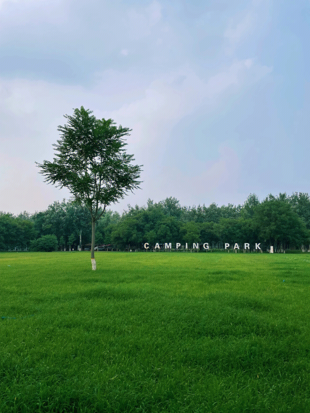 北京国际汽车露营公园图片