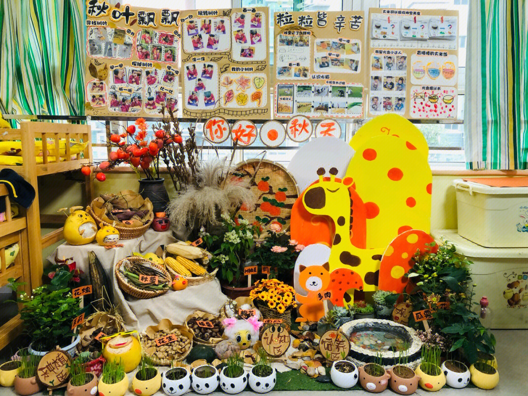 幼儿园秋季主题自然角创设