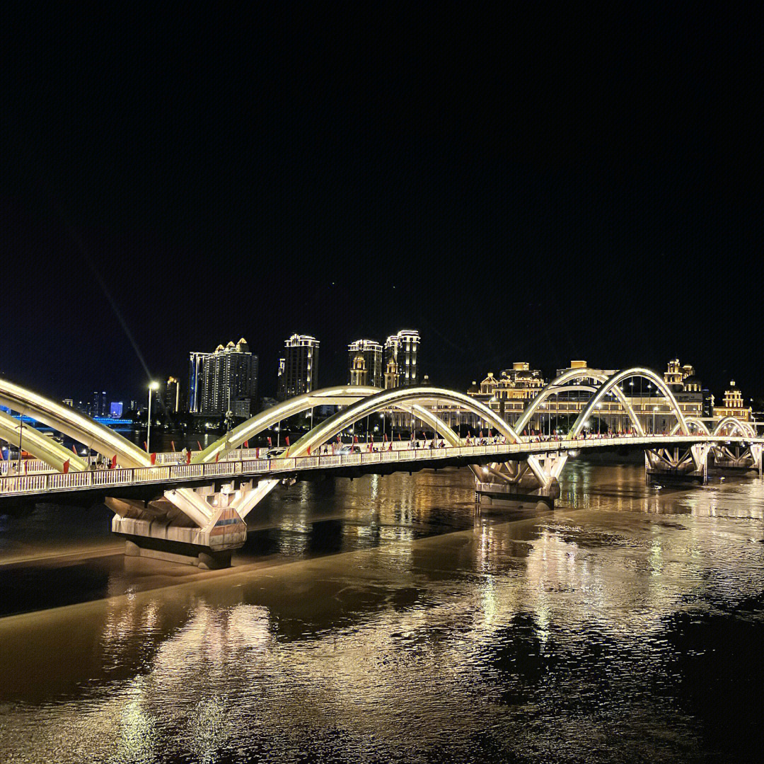 青年汇看解放大桥的夜景针不戳