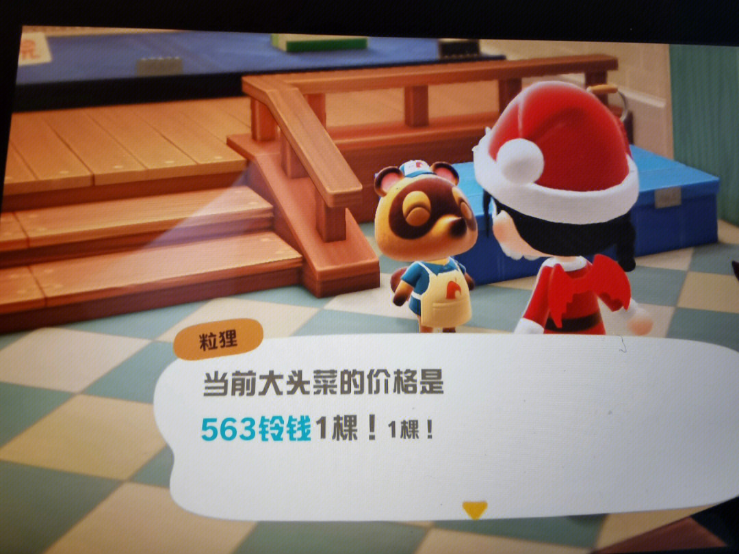 12月16大头菜563一颗