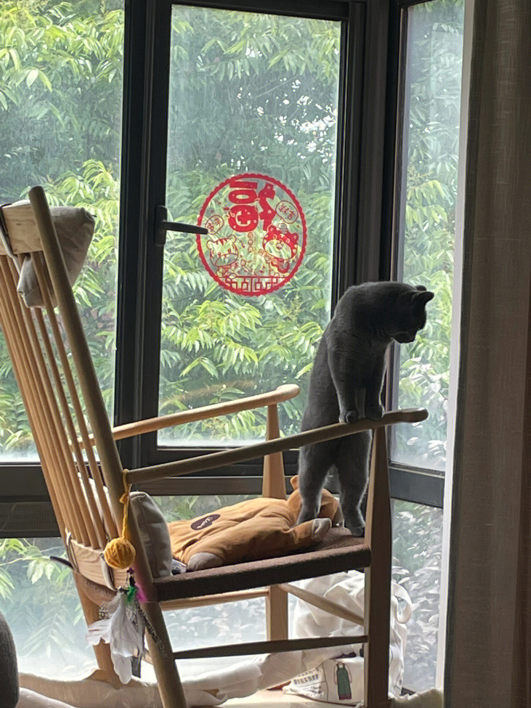 2千多的躺椅变成了他的猫爬架