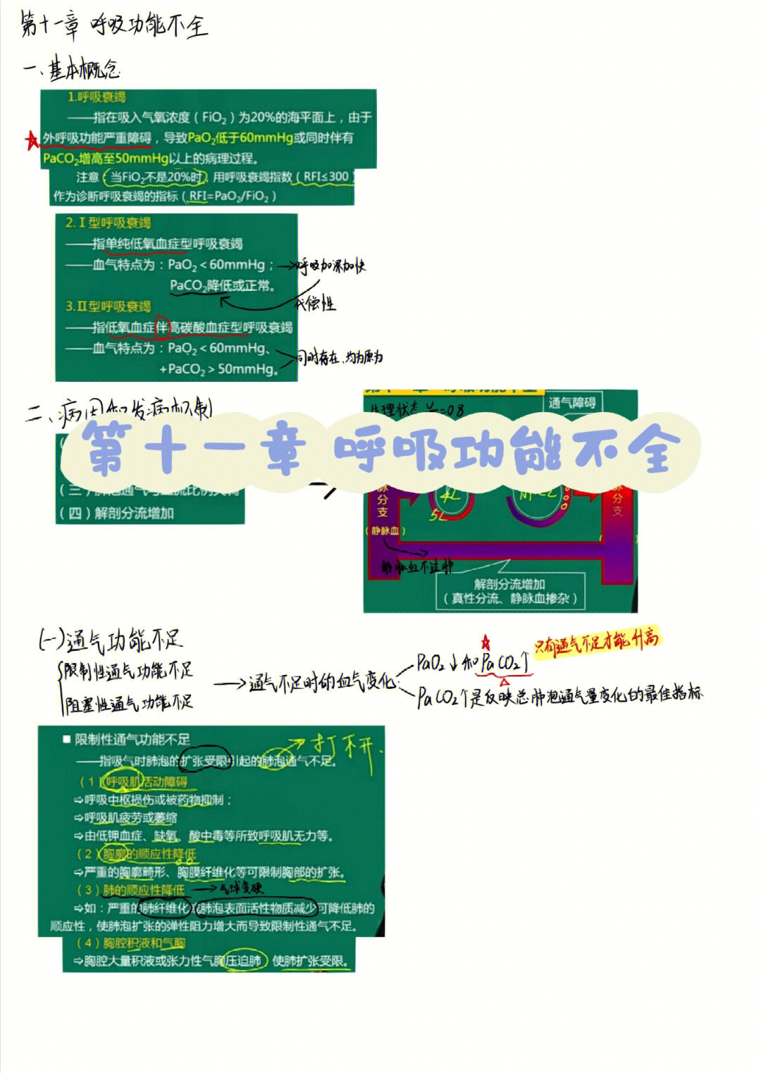 景晴老师 个人资料图片