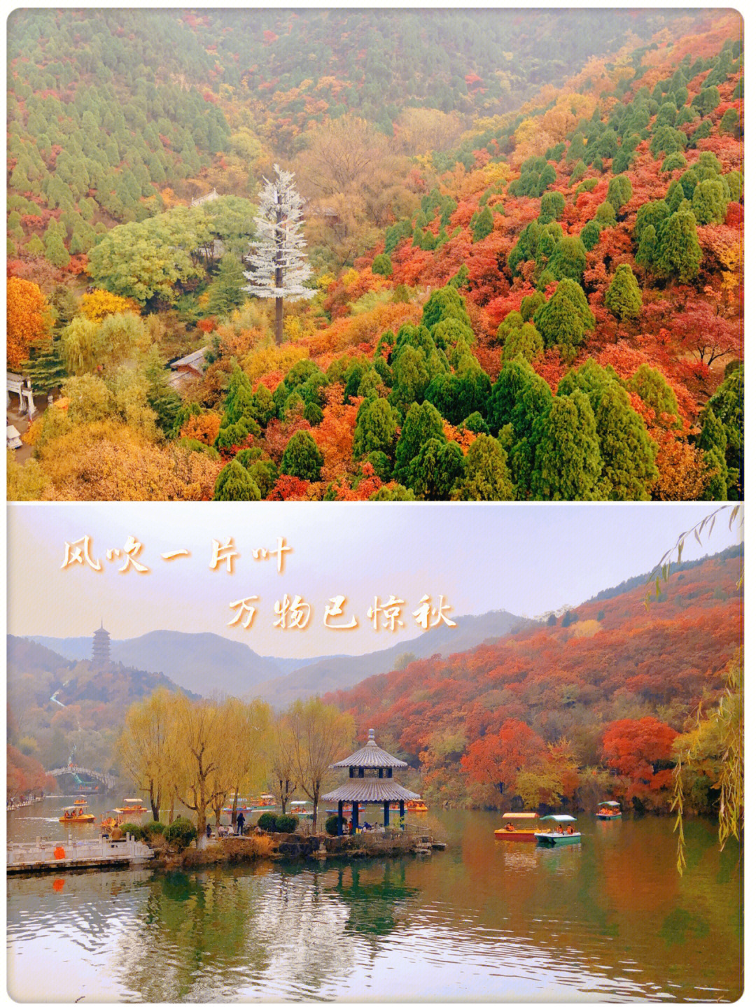 济南的秋天是红叶谷
