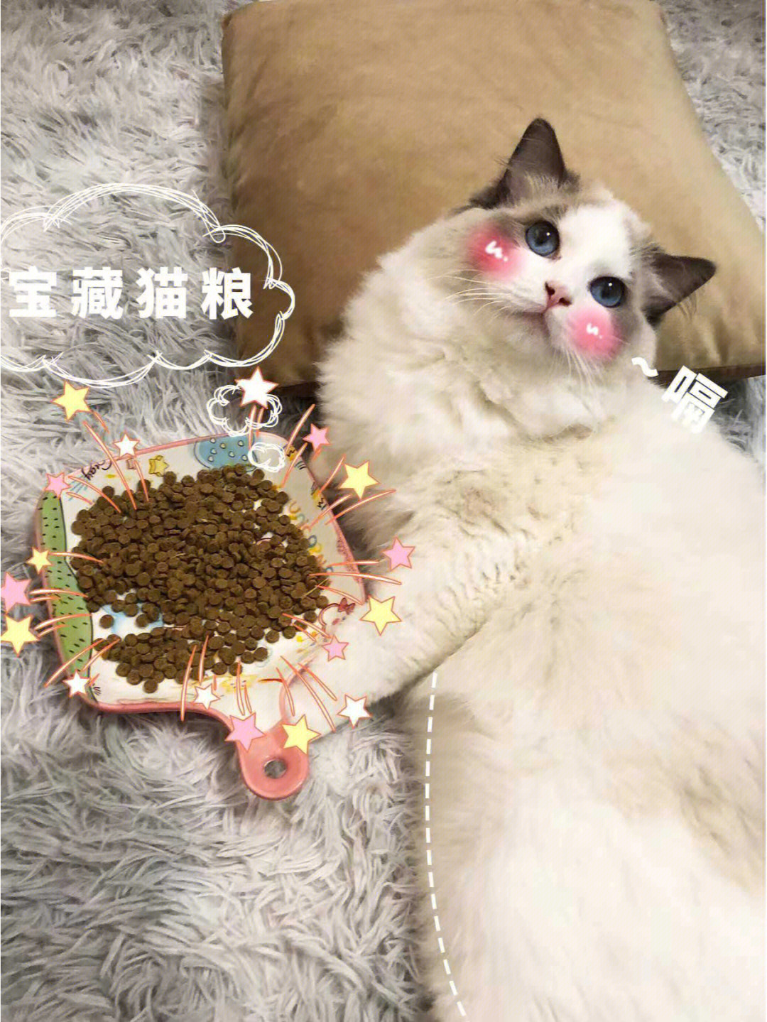 太太有粮吗表情包图片