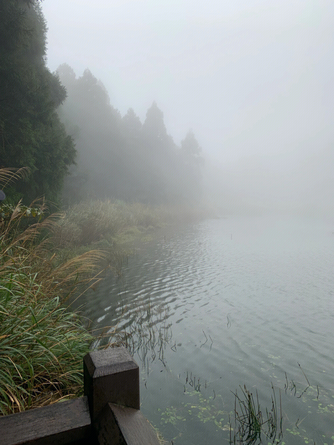 台北梦幻湖图片