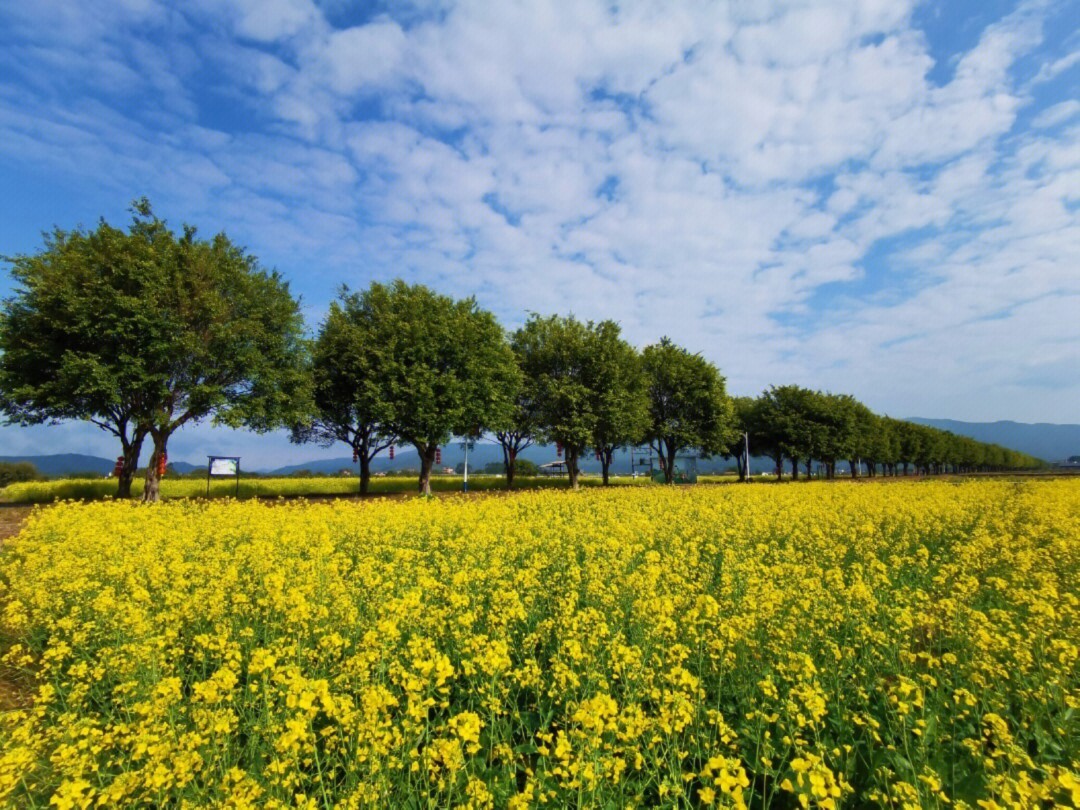 花林 连海地铁图片