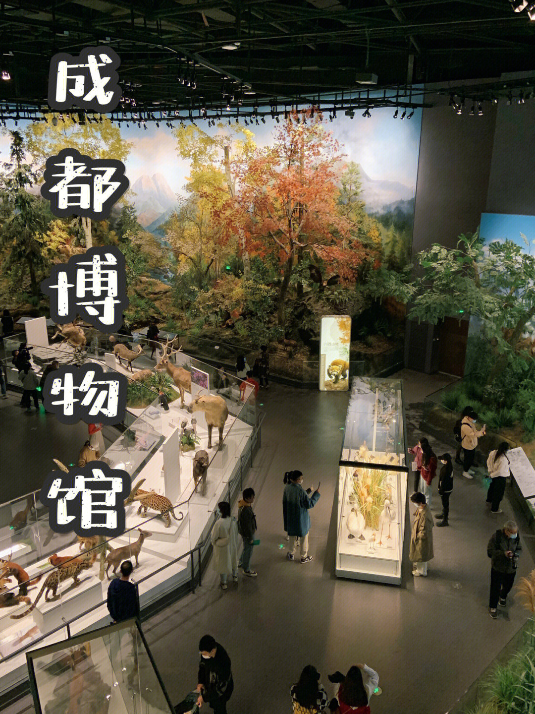 成都自然博物馆设计师图片