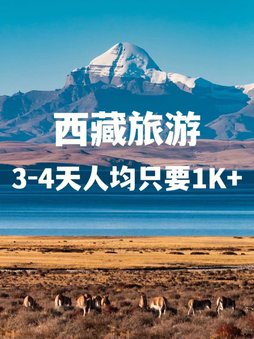 西藏旅游3614天人均只要1k