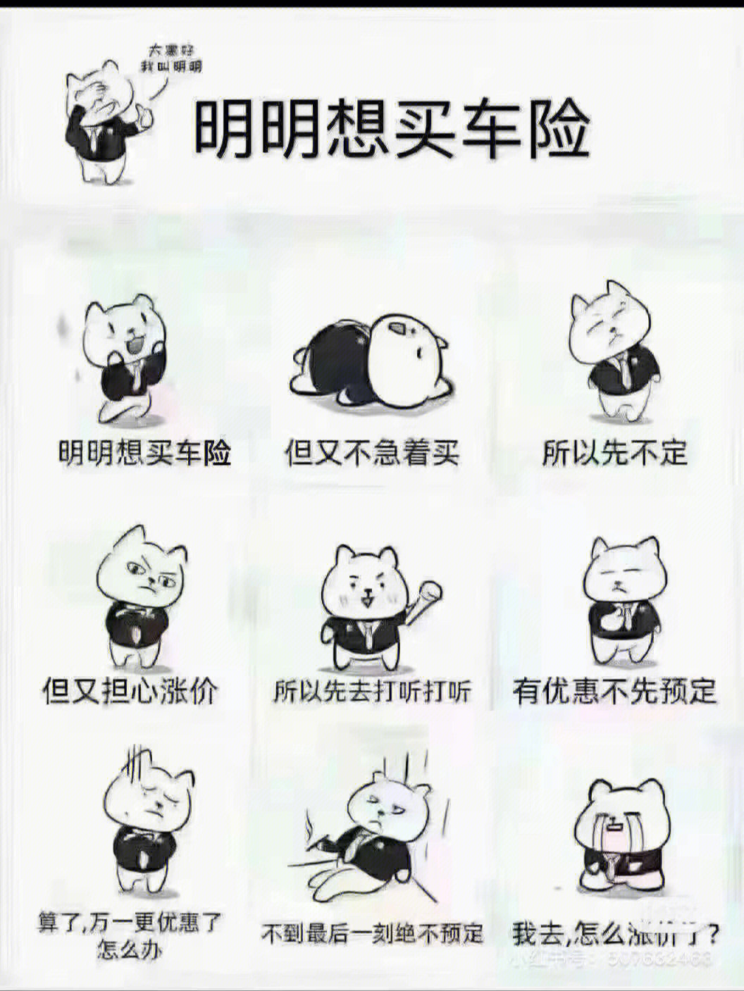 保险你续了吗