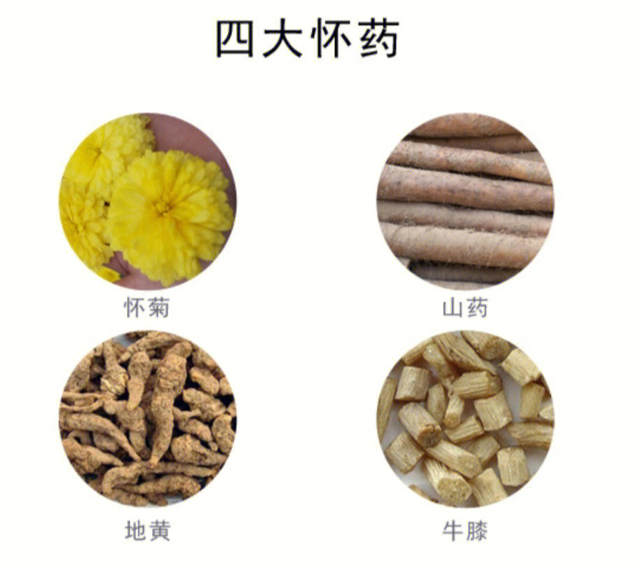 四大怀药
