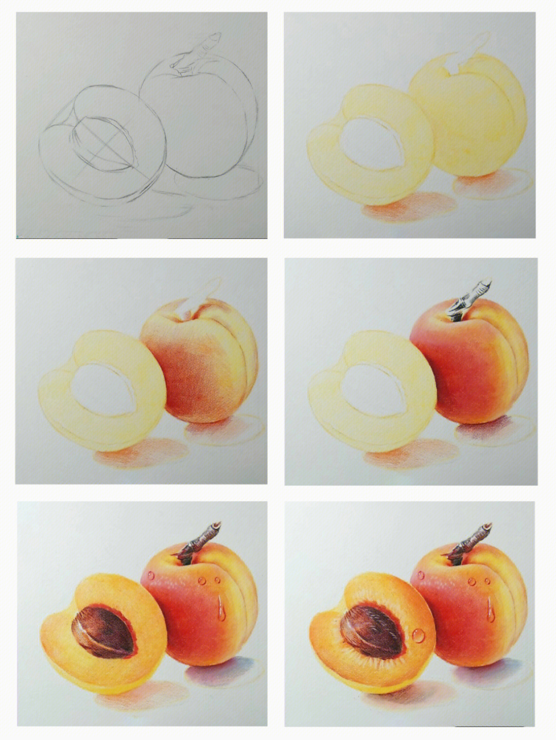 彩铅手绘杏详细步骤图