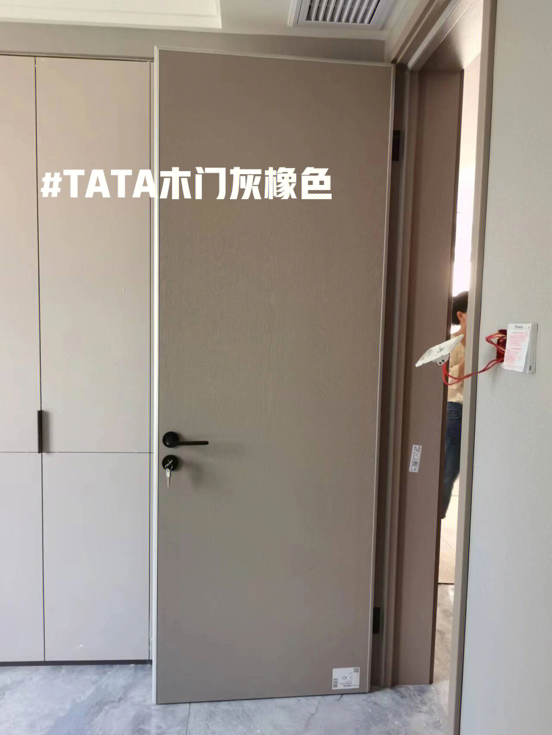 tata木门灰橡色安全下车06