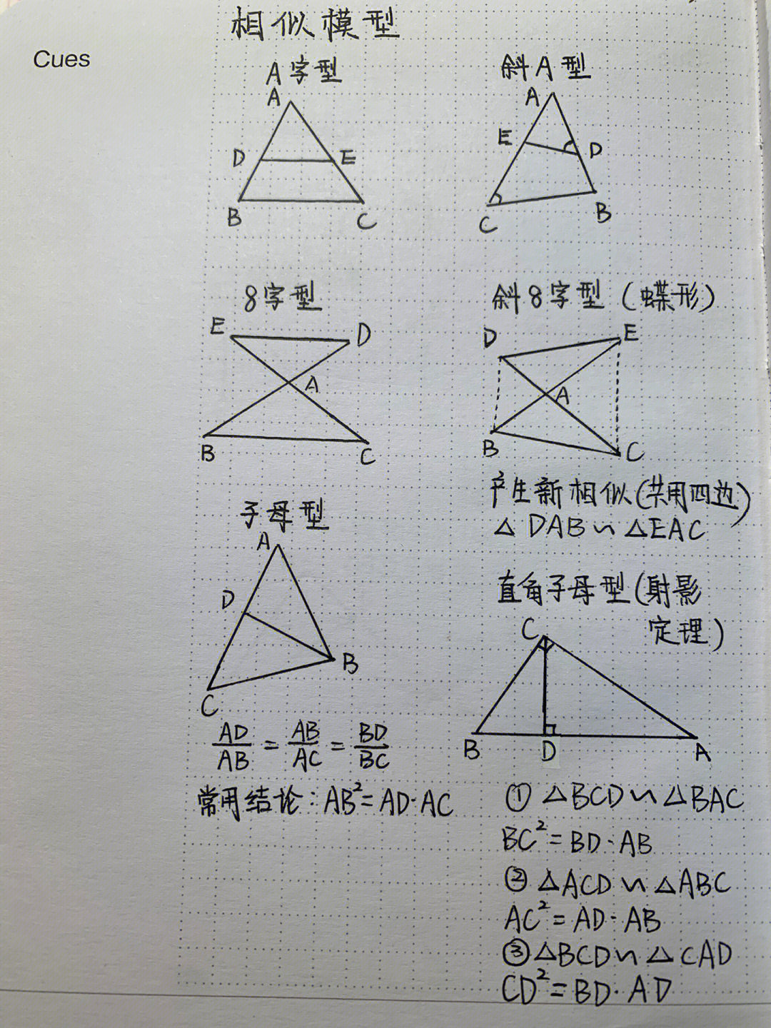 数学相似模型和旋转模型