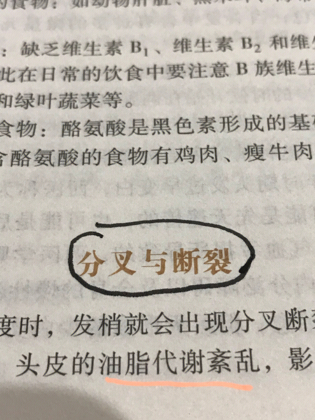 头发分叉的补救方法图片