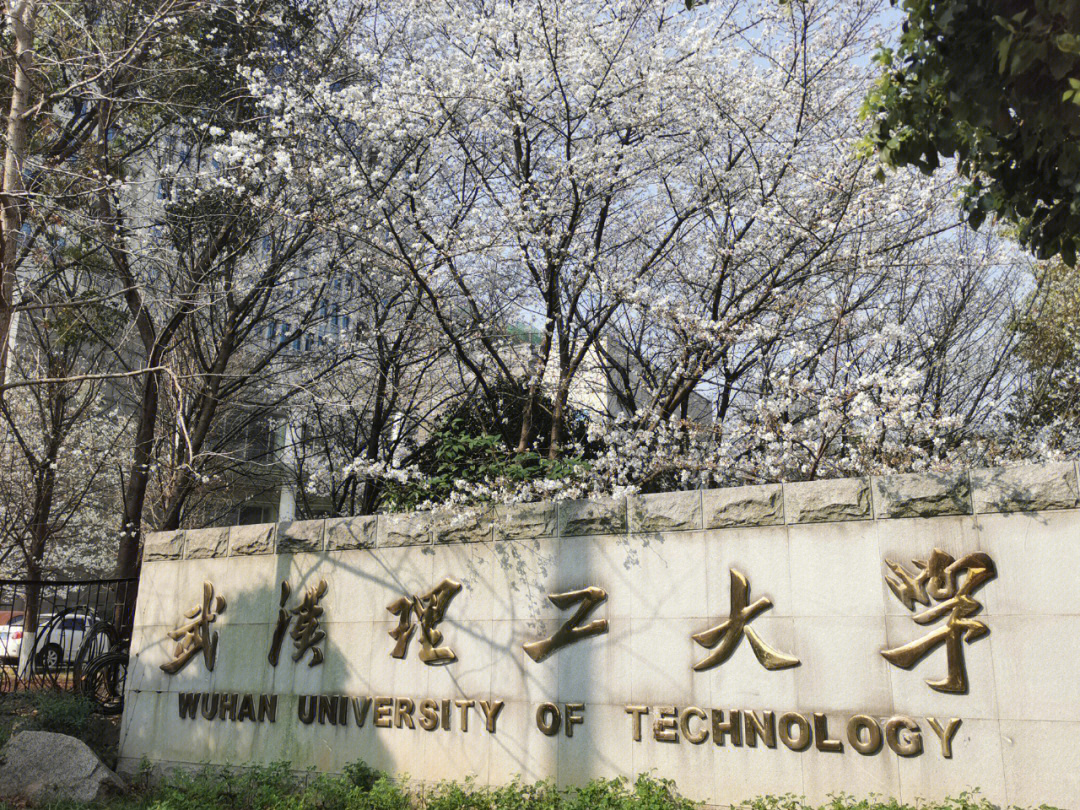 武汉理工大学东院图片