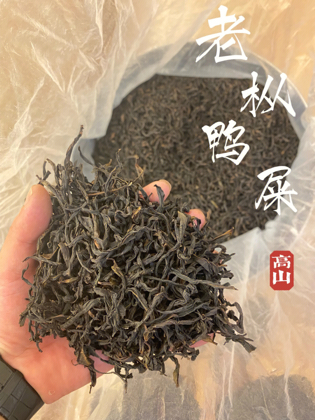 凤凰单枞茶老枞鸭屎香