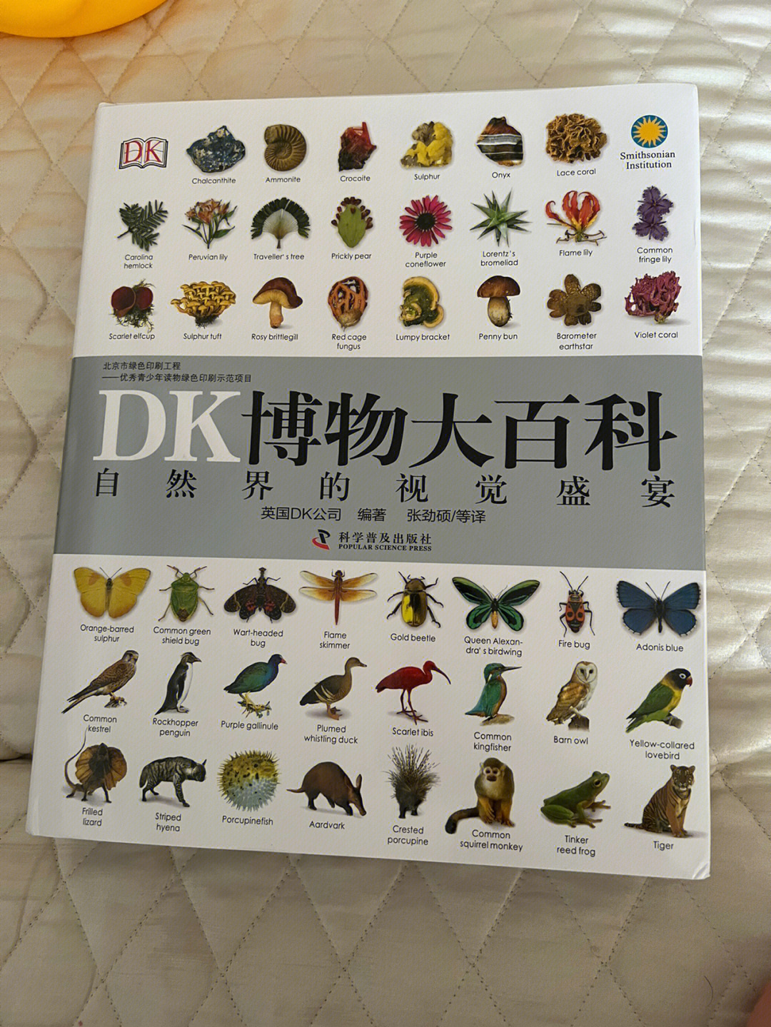 DK博物大百科推荐理由图片