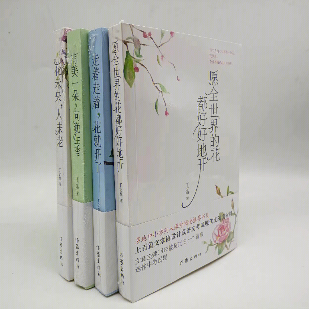 47元包邮《丁立梅 愿全世界的花都好好的开系列4册》全4册 96