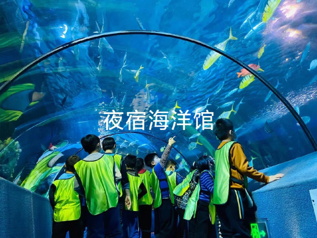 夜宿海洋馆北京太平洋海底世界露营