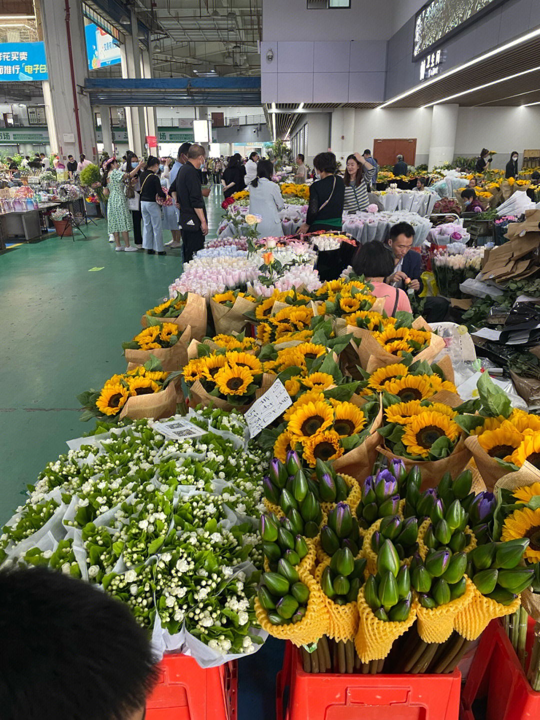 打卡斗南花卉市场