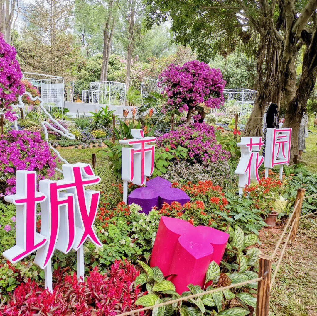 来之不易的假期,周末和妈妈一起去逛莲花山的簕杜鹃花展,展览时间好像