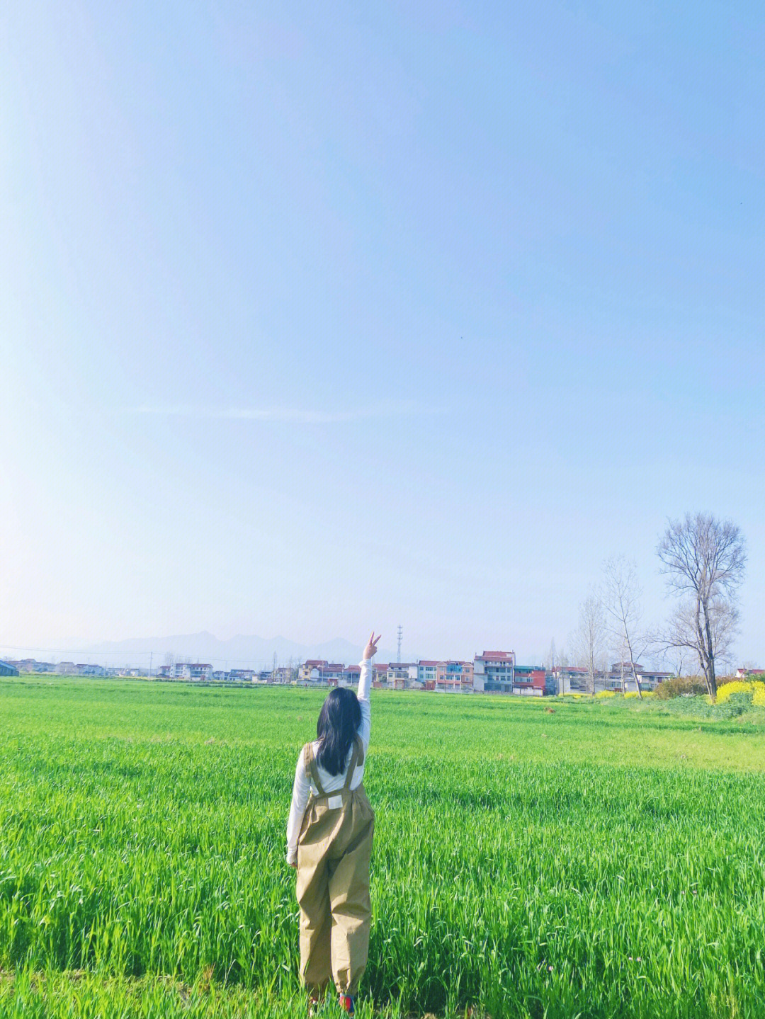 田间小路