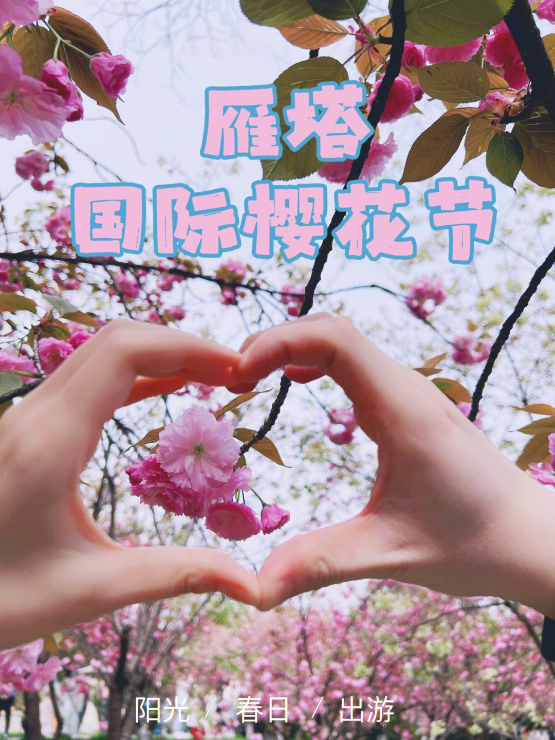 沈阳国际樱花节地址图片