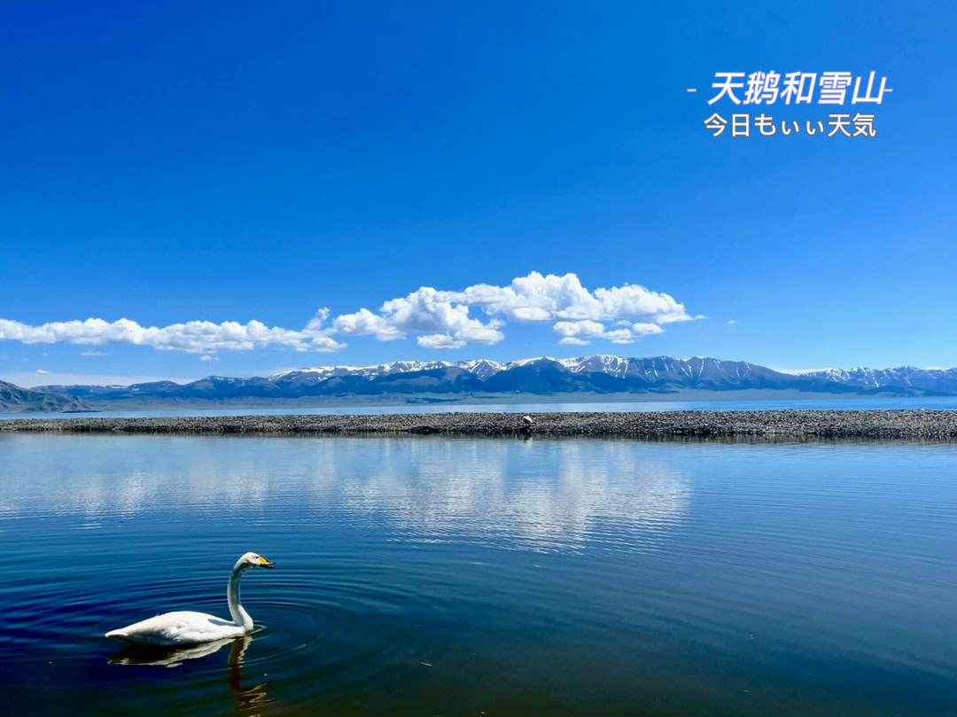 赛里木湖的恐怖传说图片