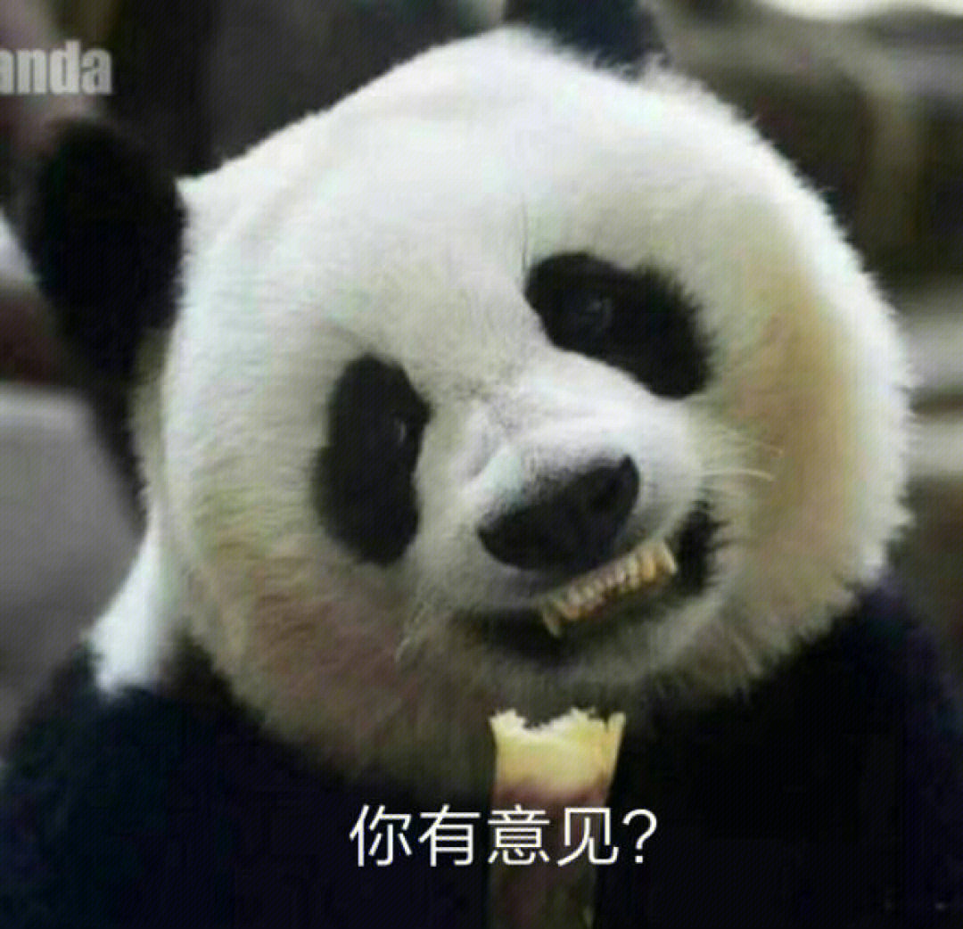 熊猫人咬牙切齿表情包图片