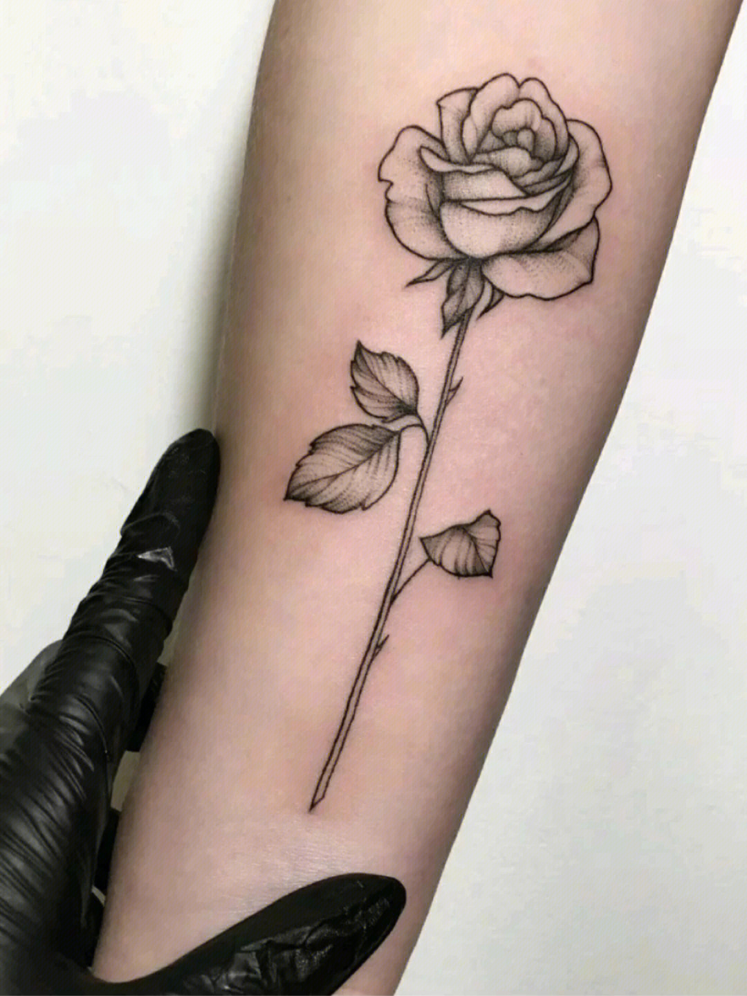 女人纹身玫瑰花的寓意图片