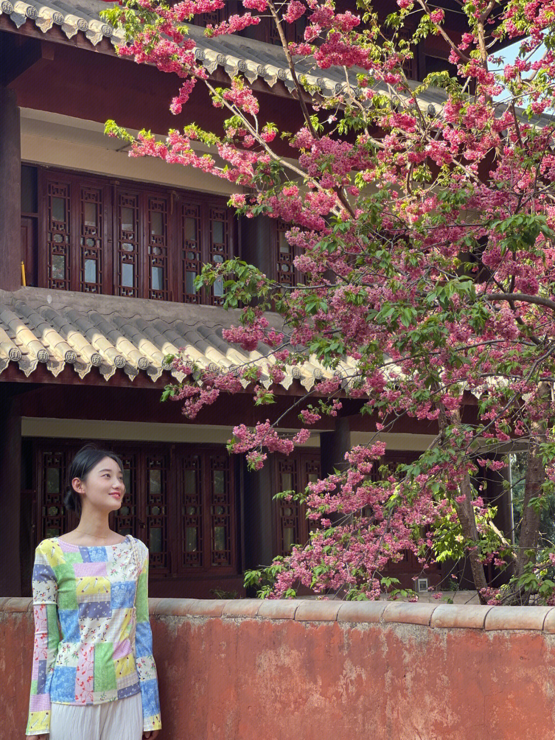 芳菲三月,藏在古寺里的樱花树悄然绽放在多彩的春天里又增添了一丝