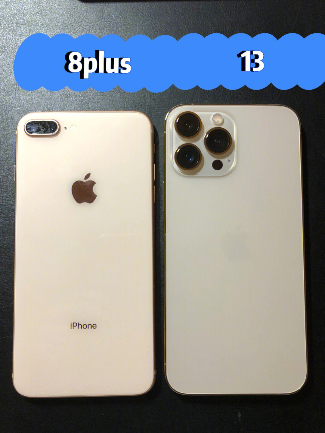 iphone 8plus vs 13promax