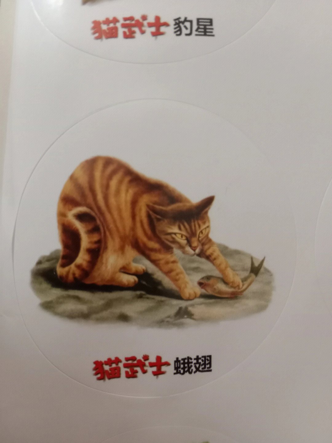 猫武士豹足图片