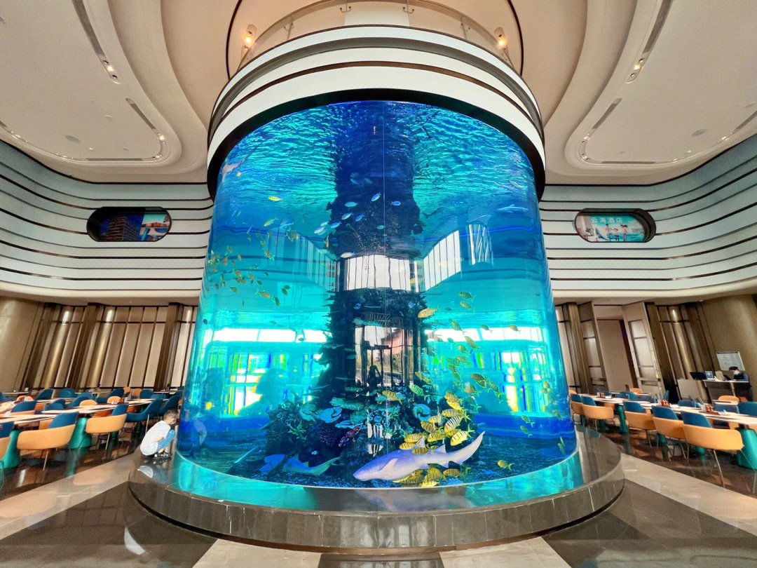 珠海云海酒店图片
