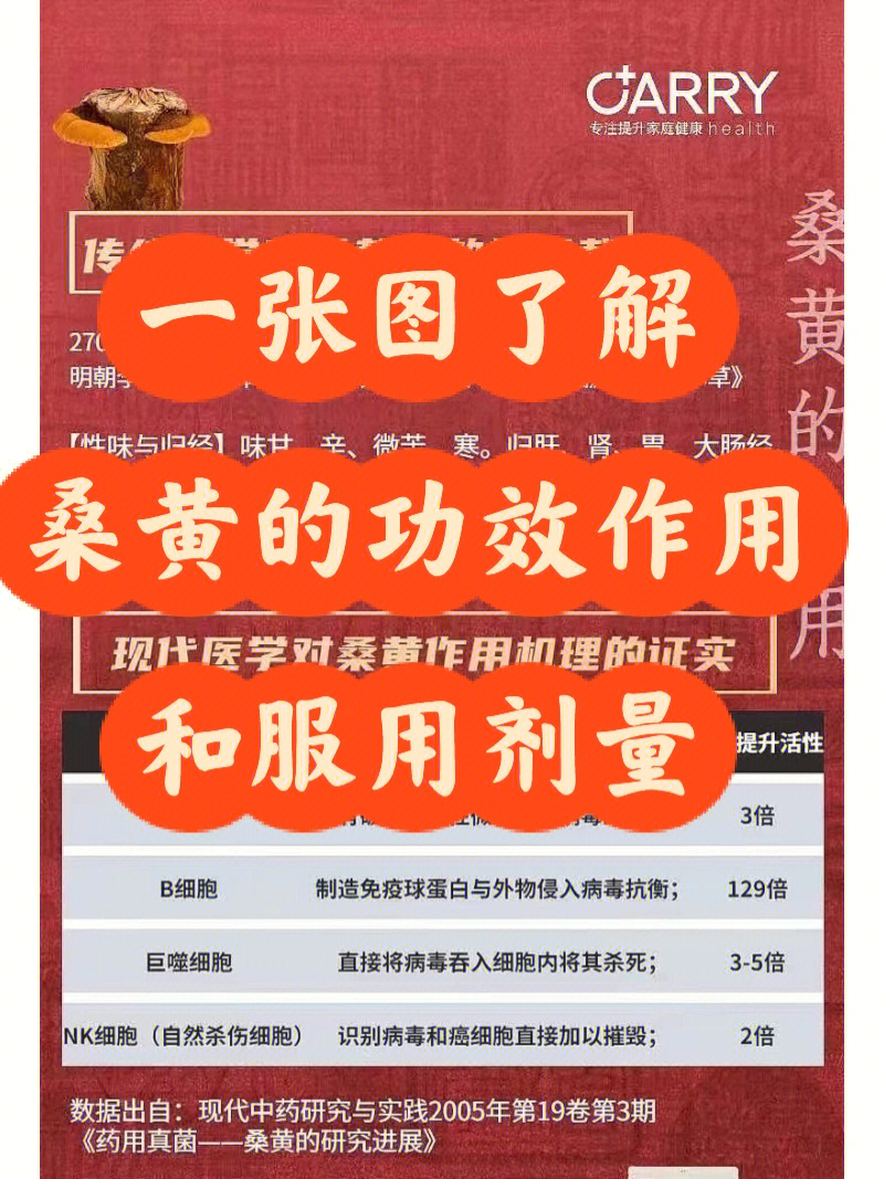 桑枝的用法用量图片